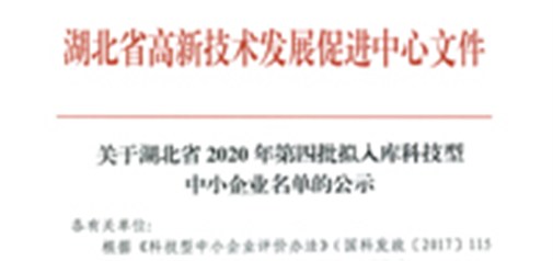 恭喜我司獲得武漢市“科技型中小企業(yè)”榮譽(yù)稱號(hào)！